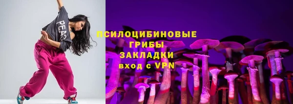 гидра Мегион