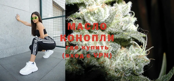 гидра Мегион