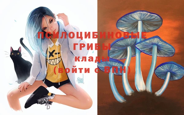 гидропоника Медногорск