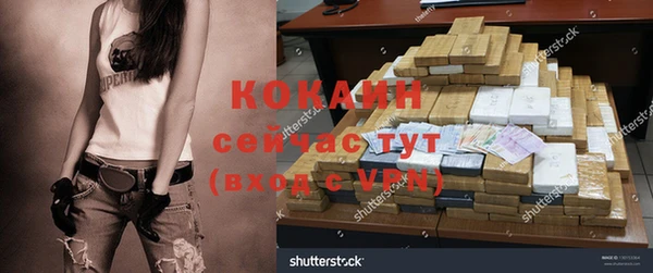 гидра Мегион